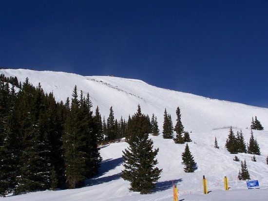 Epic Discovery at Breck